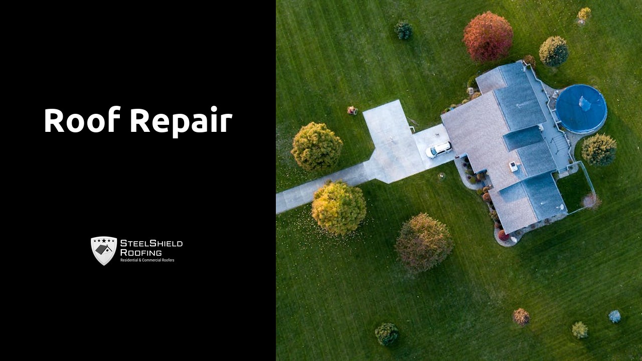 Roof repair