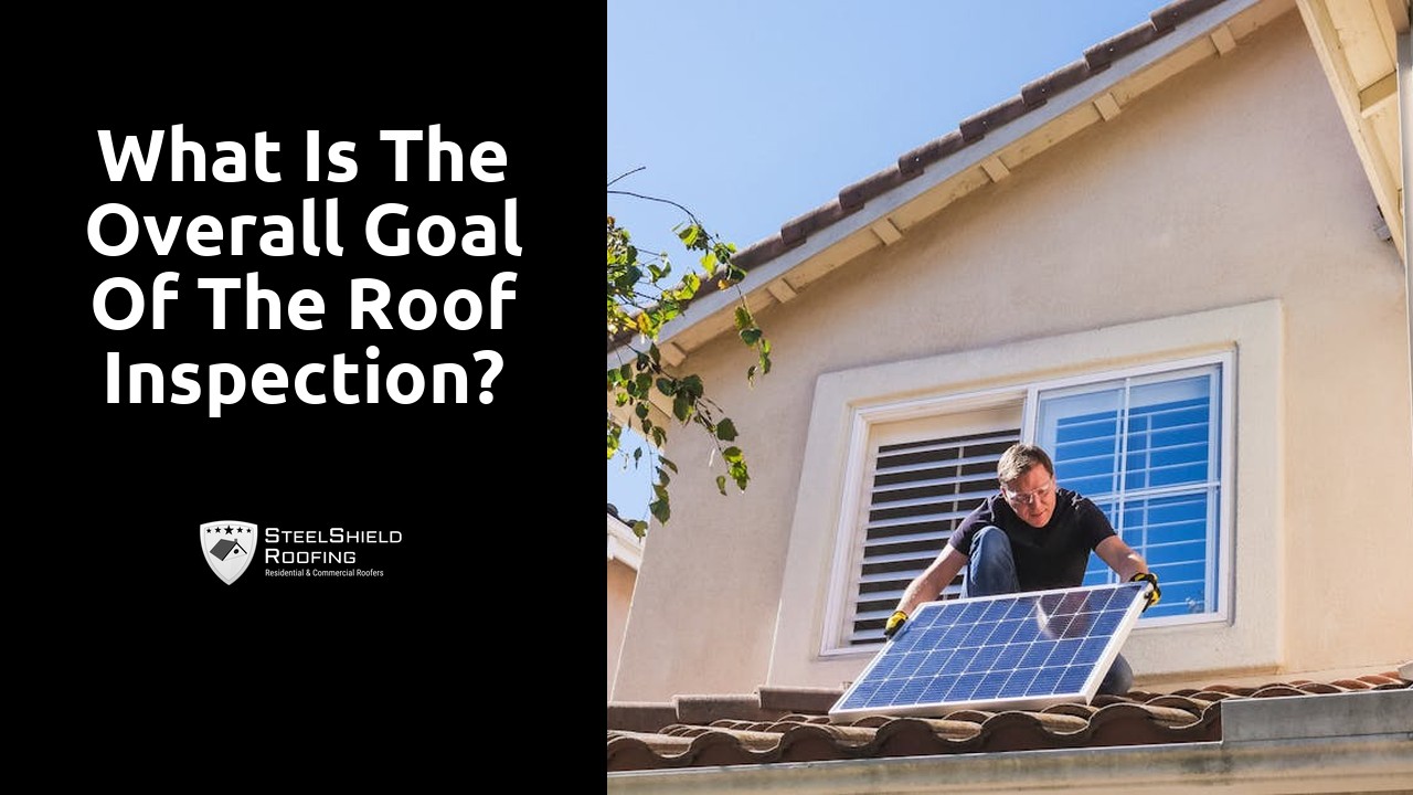 What is the overall goal of the roof inspection?